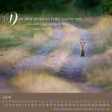 Stimmungsbild zu Weg-Licht-Leben 2026 - Tischkalender