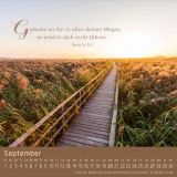 Stimmungsbild zu Weg-Licht-Leben 2026 - Tischkalender