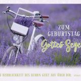 Stimmungsbild zu Postkartenbox "Segenswünsche zum Geburtstag"