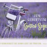 Postkartenbox "Segenswünsche zum Geburtstag"