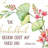 Stimmungsbild zu Postkartenbox "Herzliche Segenswünsche"/Lovely