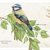 Postkartenbox "Meisterwerke des Schöpfers"