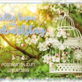 Postkartenbox Geburtstag "Vogelkäfig"