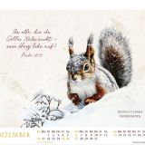 Stimmungsbild zu MeisterWerke des Schöpfers 2026 - Tischkalender