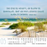 Stimmungsbild zu Zeit für Meer 2026 - Minikalender