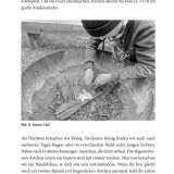 Stimmungsbild zu Waldläufer, Kluft und Knoten knüpfen