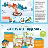 Stimmungsbild zu Der fröhliche Family-Fips Kinderzimmer-Kalender 2026