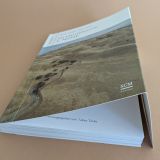 Stimmungsbild zu Das Bibellesebuch zu 1. Mose