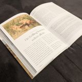 Stimmungsbild zu Das Bibellesebuch zu 1. Mose