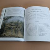 Stimmungsbild zu Das Bibellesebuch zu 1. Mose