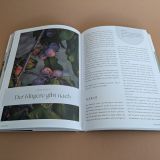 Stimmungsbild zu Das Bibellesebuch zu 1. Mose