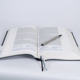 Stimmungsbild zu Elberfelder Bibel - mit Schreibrand, Leder