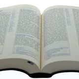 Elberfelder Bibel - Standardausgabe, ital. Kunstleder grau