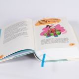 Stimmungsbild zu Neues Leben. Die Bibel für Kids