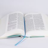 Stimmungsbild zu Neues Leben. Die Bibel für Kids