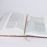 Stimmungsbild zu Begegnung fürs Leben, Motiv "Buch"