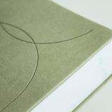 Stimmungsbild zu Die Bibel mit Impulsen von Joyce Meyer, Kunstlederausgabe