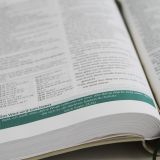 Stimmungsbild zu Die Bibel mit Impulsen von Joyce Meyer, Kunstlederausgabe