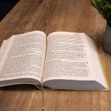 Stimmungsbild zu Neues Leben. Die Bibel, große Schrift, Kunstleder