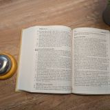 Stimmungsbild zu Neues Leben. Die Bibel, große Schrift, Kunstleder