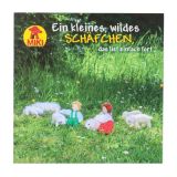 Stimmungsbild zu Buchpaket Midi-Bücher