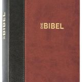 Stimmungsbild zu Schlachter 2000 - Taschenausgabe, Goldschnitt grau/braun