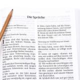 Stimmungsbild zu Schlachter 2000 - Großdruckausgabe, grau/braun, flexibel
