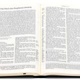 Stimmungsbild zu Schlachter 2000 - Standardausgabe, Kalbsleder,Griffregister,Goldschnitt