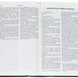 Stimmungsbild zu Schlachter 2000 - Taschenausgabe - klassisch