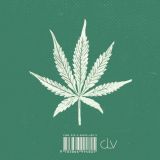 Stimmungsbild zu Weed, Ott und Gott