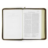 Die Bibel - Taschenbibel, Kunstleder mit Reißverschluss