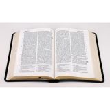 Stimmungsbild zu Die heilige Schrift - Taschenausgabe Leder, Goldschnitt, schwarz