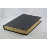 Stimmungsbild zu Die heilige Schrift - Leder, Goldschnitt