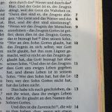 Stimmungsbild zu Die heilige Schrift - Leder braun, Rotgoldschnitt