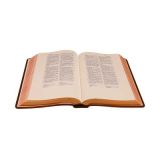 Die Heilige Schrift- Schreibrandbibel, hellbraun, kleine Ausgabe
