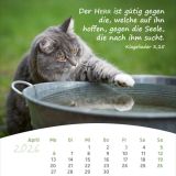 Stimmungsbild zu Leben für Dich 2026 - Deutsch Postkartenkalender