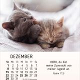 Meine kleinen Freunde 2024 - Tischkalender