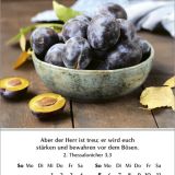 Stimmungsbild zu Ein Jahr der Geborgenheit 2026 - Minikalender