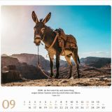 Stimmungsbild zu Geliebtes Israel 2026 - Wandkalender