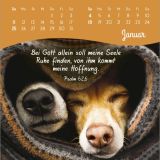 Stimmungsbild zu Von Herzen ein glückliches Jahr 2026 - Tischkalender