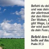 Stimmungsbild zu Denn du bist bei mir - Grossdruck-Verteilheft