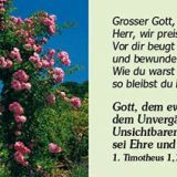 Denn du bist bei mir - Grossdruck-Verteilheft