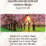 Stimmungsbild zu Neujahrslose - 100 Kärtchen