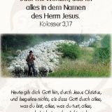 Stimmungsbild zu Neujahrslose - 100 Kärtchen