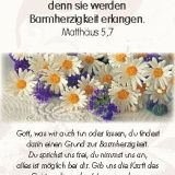 Stimmungsbild zu Neujahrslose - 100 Kärtchen