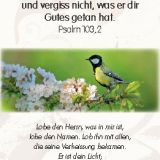 Stimmungsbild zu Neujahrslose - 100 Kärtchen