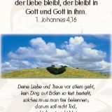 Stimmungsbild zu Neujahrslose - 100 Kärtchen