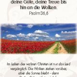Stimmungsbild zu Neujahrslose - 100 Kärtchen