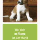 Hundefreunde 2024 - Lesezeichenkalender