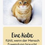 Katzenfreunde 2024 - Lesezeichenkalender